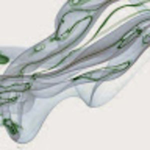 Meet your Posher, Kathleen